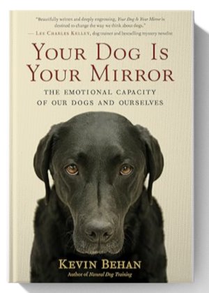 Your Dog Is Your Mirror: The Emotional Capacity of Our Dogs and Ourselves