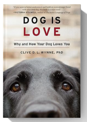 Dog Is Love: Why and How Your Dog Loves You
