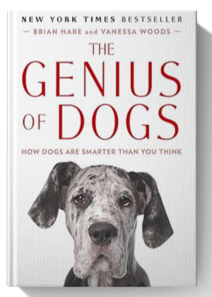 The Genius of Dogs: How Dogs Are Smarter Than You Think