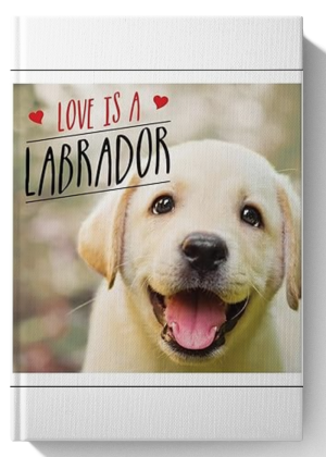 Love is a Labrador: A Lab-Tastic Celebration of the World's Favourite Dog