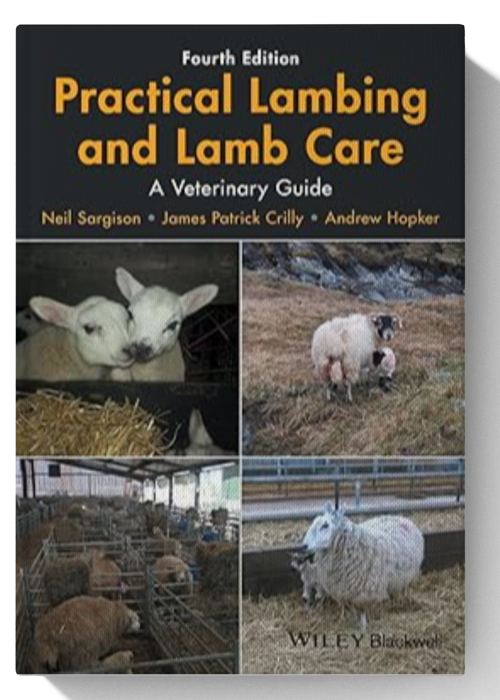 Practical Lambing and Lamb Care: A Veterinary Guide