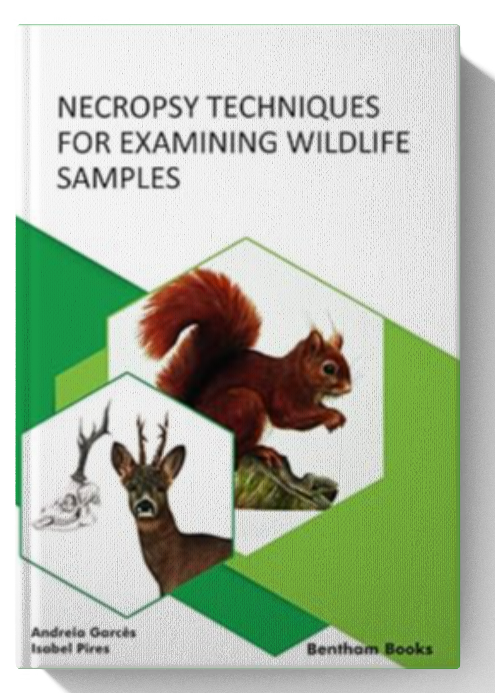 Necropsy Techniques for Examining Wildlife Samples