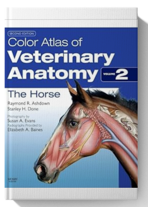Color Atlas of Veterinary Anatomy, Volume 2, The Horse
