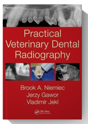 Practical Veterinary Dental Radiography 1st Edition