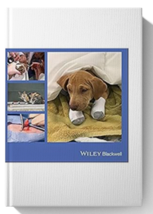 High-Quality, High-Volume Spay and Neuter and Other Shelter Surgeries 1st Edition